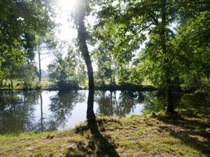 Commune de Morcenx 40110