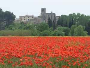 Commune de Montbazin 34560