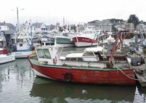 Commune de Grandcamp-Maisy 14450