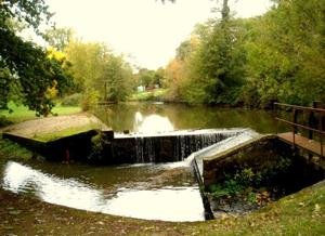 Commune de Chaille-les-Marais 85450