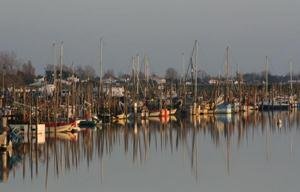 Commune de L'Aiguillon-sur-Mer 85460