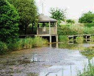 Commune de Nieuil-l'Espoir 86340