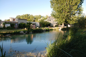 Commune de Sainte-Cécile-les-Vignes 84290